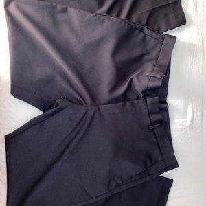 Express dress pants
